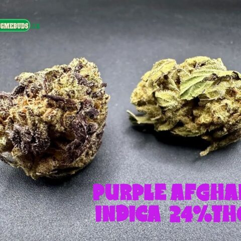 PURPLE AFGHAN $6 - $140 OZ (INDICA) 24% THC
