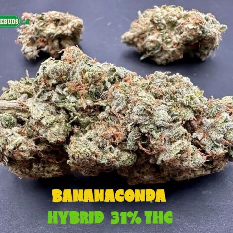 BANANACONDA $7 - $150 OZ (HYBRID) 31% THC