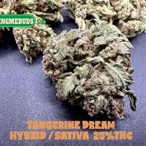 TANGERINE DREAM $6 - 120 OZ (HYBRID/SATIVA) 25% THC