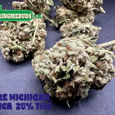 PURE MICHIGAN $5 - $65 OZ (INDICA) 25% THC