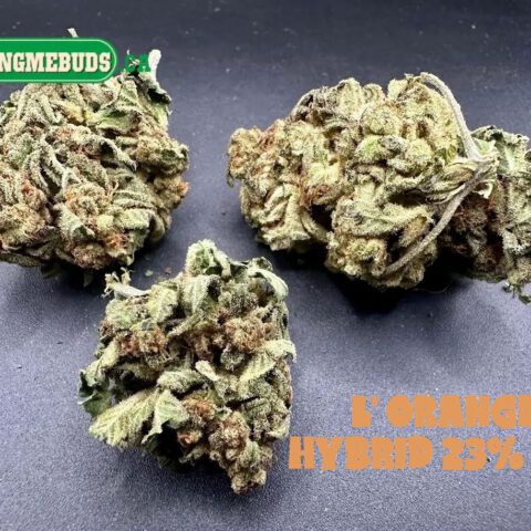 L' ORANGE $5 - $50 OZ (HYBRID) 23% THC