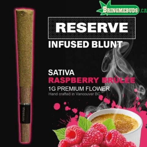RESERVE INFUSED BLUNTS RASPBERRY BRULE (1 GRAM/ SATIVA)