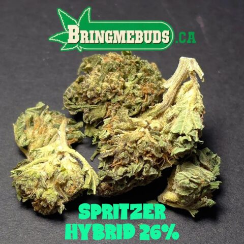 SPRITZER $5 - $85 0Z (HYBRID) 26% THC