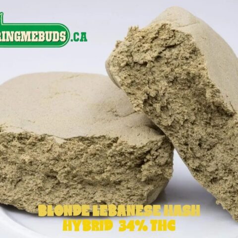 BLONDE LEBANESE HASH $12 - $280 0Z (HYBRID) 34% THC