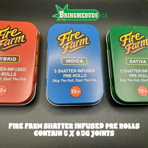 FIRE FARM SHATTER INFUSED PRE ROLLS CONTAIN 5 X 0.5 GRAM JOINTS