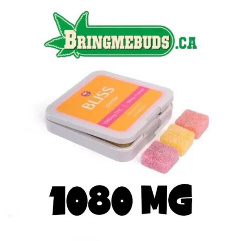 BLISS GUMMIES - JOYRIDE 1080MG THC
