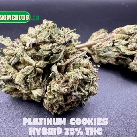 PLATINUM COOKIES $5 - $80 OZ (HYBRID) 25% THC