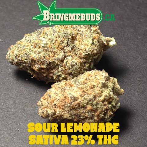 SOUR LEMONADE $6 - $140 OZ (SATIVA) 23% THC