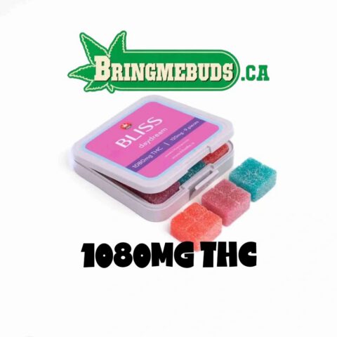 BLISS GUMMIES - DAYDREAM 1080MG THC
