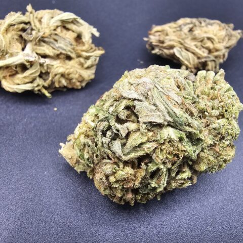 ZESTY PARM $5 - $50 OZ ( HYBRID) 22% THC