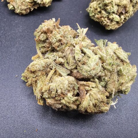 JACK HERER $5 - $65 OZ (SATIVA) 23% THC