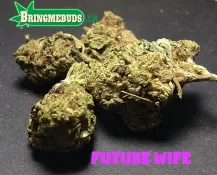 FUTURE WIFE $5 - $50 OZ (HYBRID) 23% THC