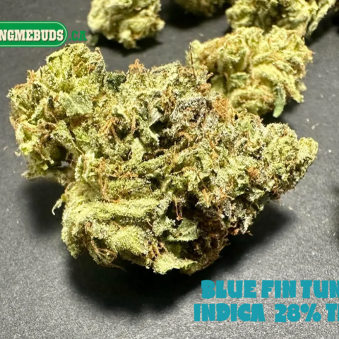 BLUE FIN TUNA $7 - $140 OZ (INDICA) 28% THC