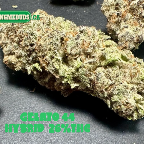 GELATO 44 $5 - $120 OZ (INDICA) 26% THC