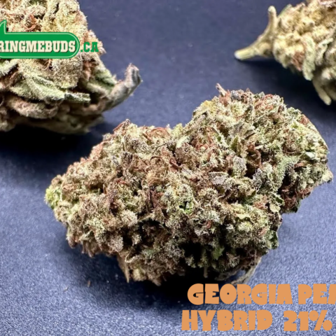 GEORGIA PIE $5 - $50 0Z (HYBRID) 22% THC