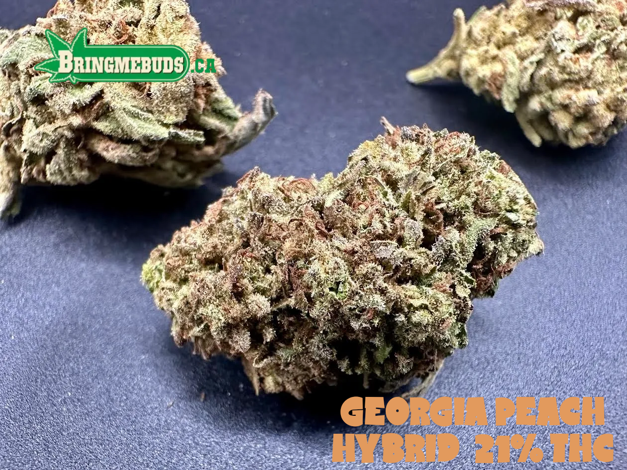 GEORGIA PIE $5 - $50 0Z (HYBRID) 22% THC
