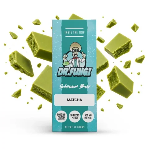 DR. FUNGI SHROOM BAR 5000MG