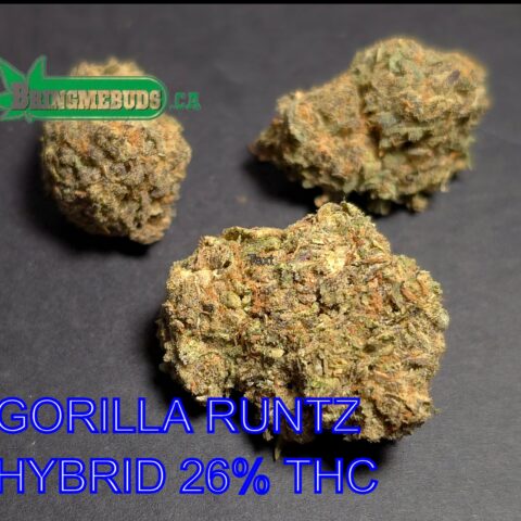 GORILLA RUNTZ $5 - $99 OZ (HYBRID)