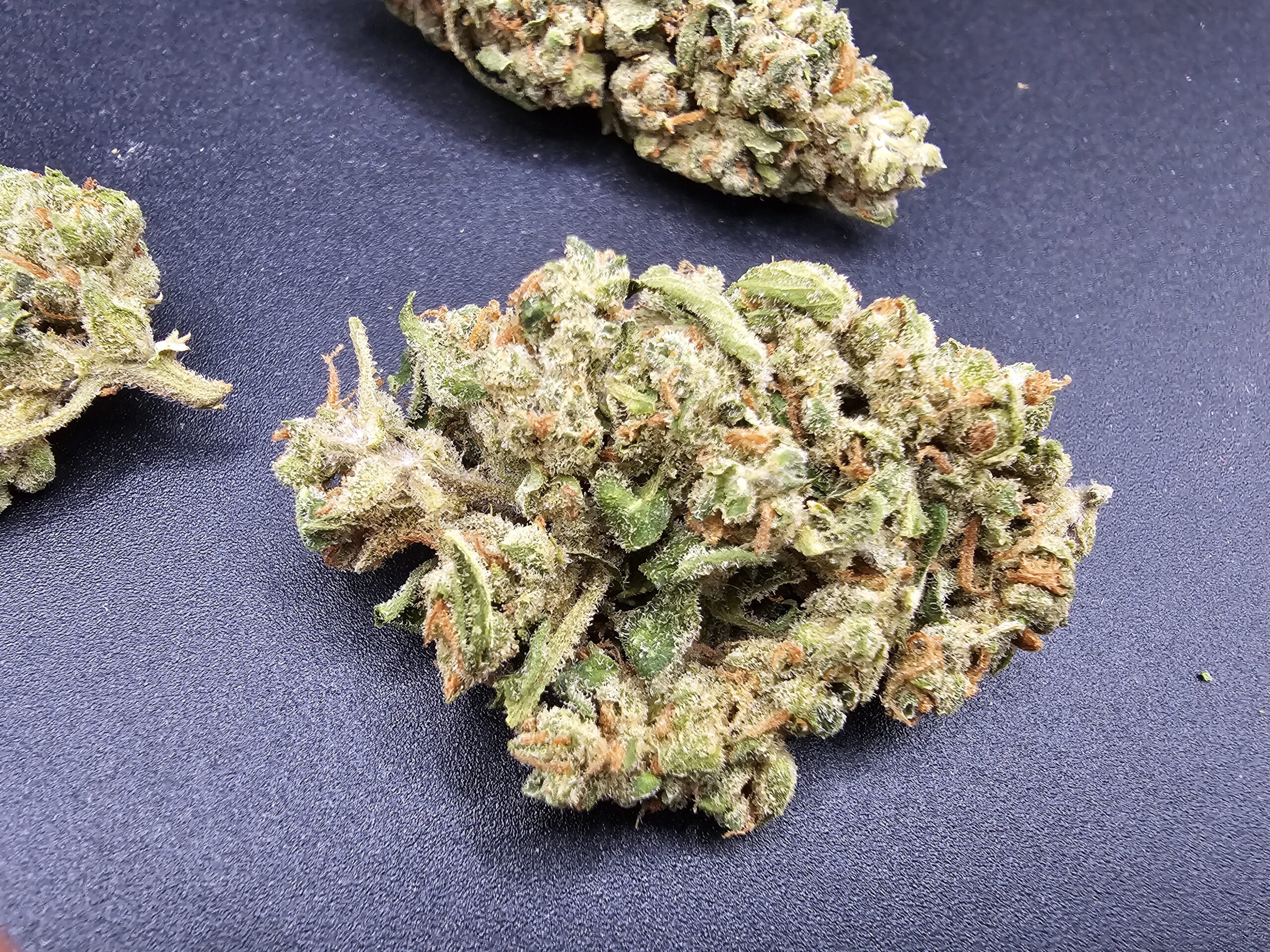 ORANGE AID $5 - $50 OZ (HYBRID) 23% THC