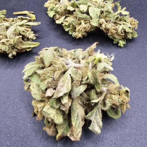 BLACKBERRY PUNCH $5 - $50 OZ ( HYBRID) 22% THC