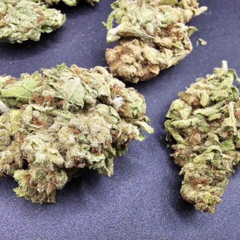 GHOST TRAIN HAZE $5 - $59 OZ (SATIVA) 24% THC