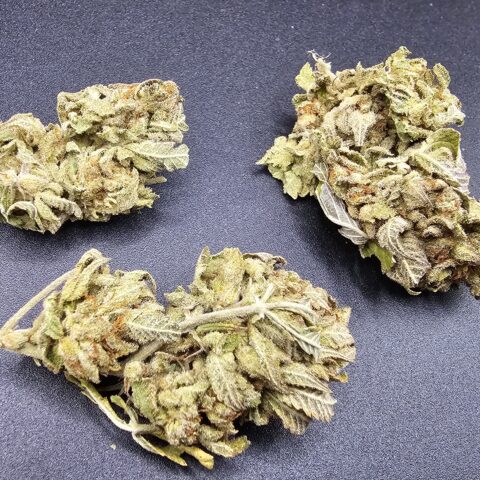 HUMBOLT HAZE $5 - $59 OZ (HYBRID) 24% THC