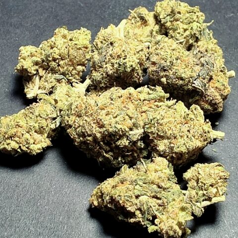 DOSI OG $5 - $99OZ (HYBRID)