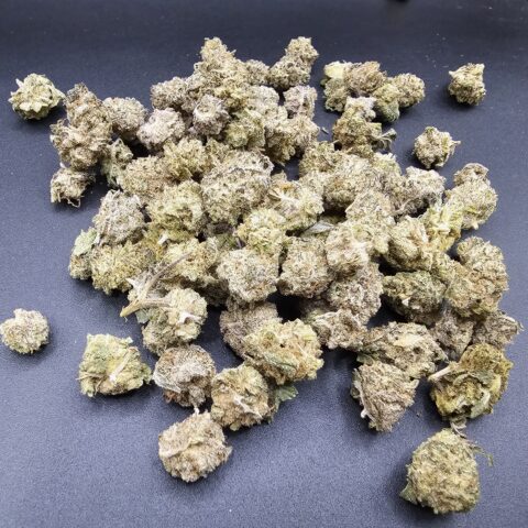 MINT CHOCOLATE CHIPS $5 - $99 OZ (HYBRID) 25% THC