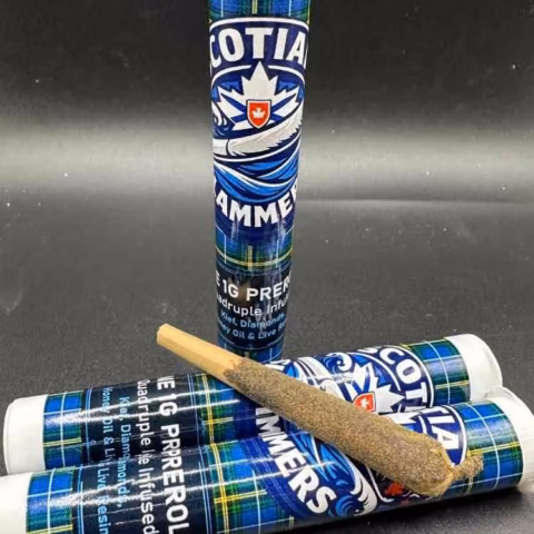 SCOTIAN SLAMMERS - ONE 1GRAM QUADRUPLE INFUSED (KEIF, DIAMONDS, HONEY OIL & LIVE RESIN)