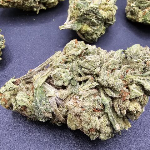 UK CHEESE $5 - $65 OZ (HYBRID) 24% THC