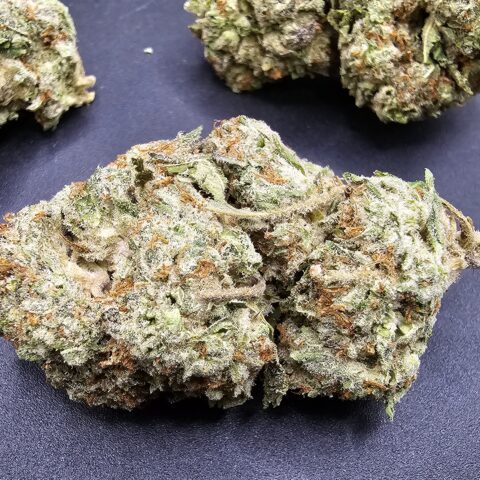 COMATOSE $% - $120 0Z (INDICA) 26% THC