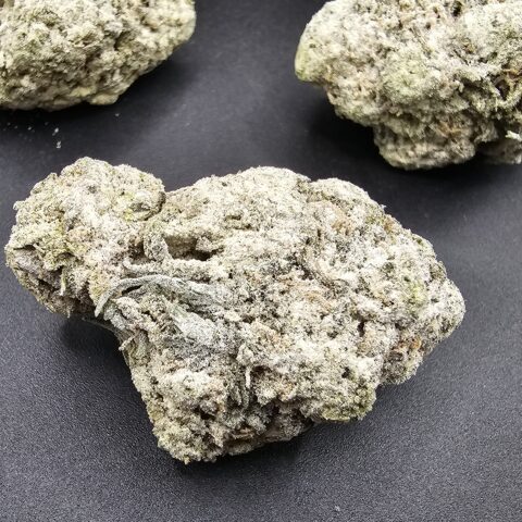 SNOWBALLS  KOMBUCHA X ANIMAL COOKIES  $8 - $180 OZ (HYBRID) 35% THC